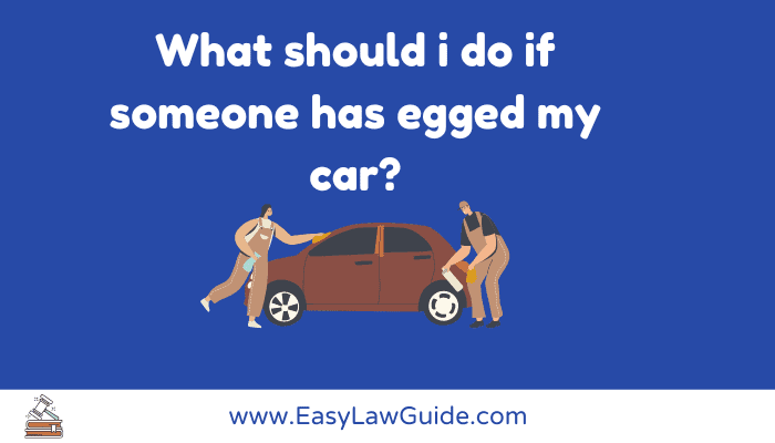 What should I do if someone has egged my car?