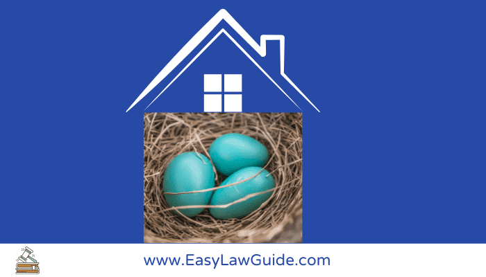 Egging a house concept