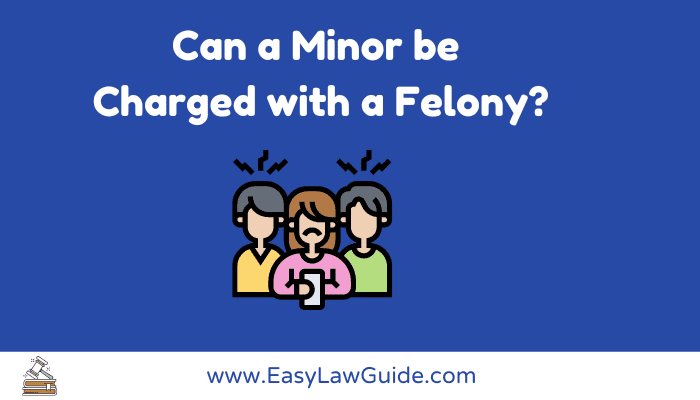 Can A Minor Be Charged With A Felony?