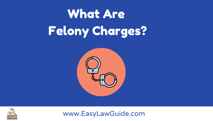 can-you-get-felony-charges-dropped