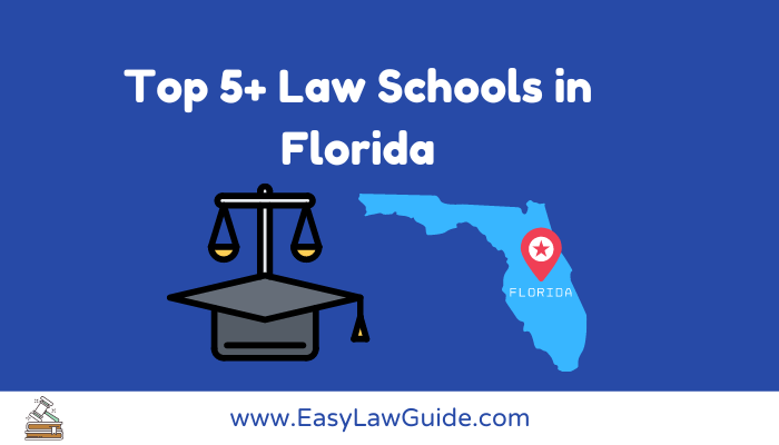 Top 5+ Law Schools in Florida